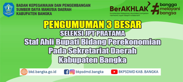 PENETAPAN HASIL SELEKSI JPT PRATAMA  STAF AHLI BUPATI BIDANG PEREKONOMIAN PADA SETDA BANGKA 2023