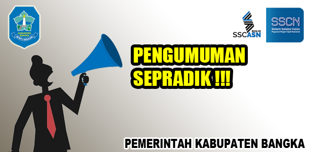 PERUBAHAN Pengumuman Pengadaan CPNS Bangka Tahun 2019