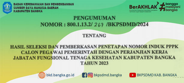 HASIL SELEKSI DAN PEMBERKASAN NIPPPK JAFUNG NAKES KAB. BANGKA 2023
